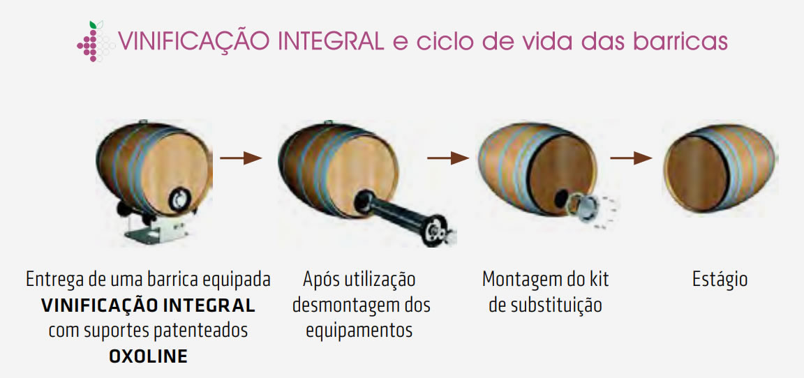 Vinification Integrale